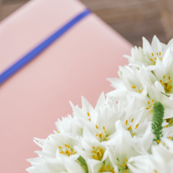 kailani-caja-grande