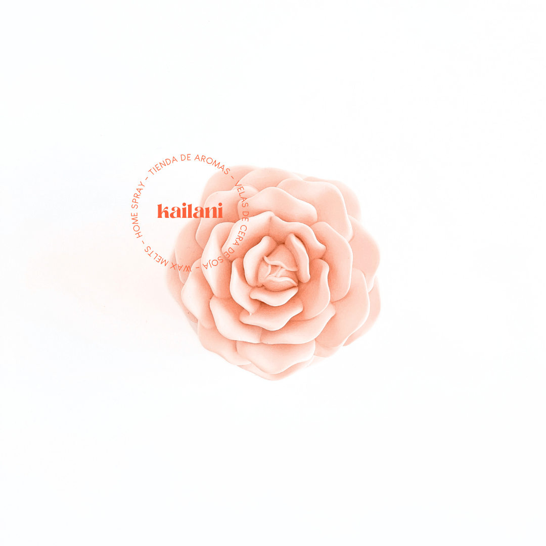 garden-rose-kailani garden-rose-kailani